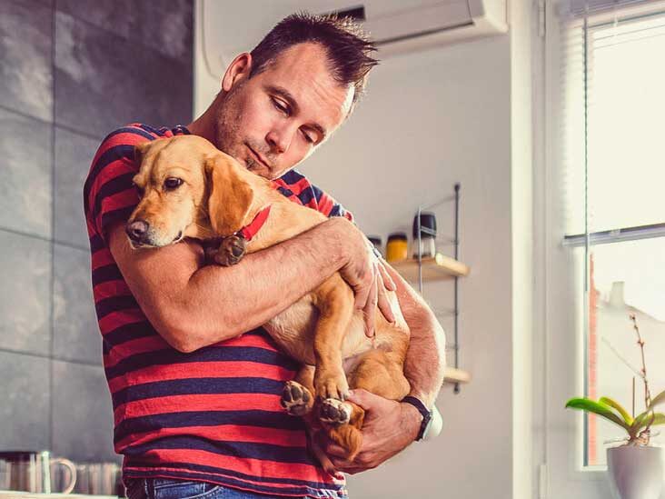 Planning To Register Your Pet As An Emotional Support Animal? This Is All You Must Know!!